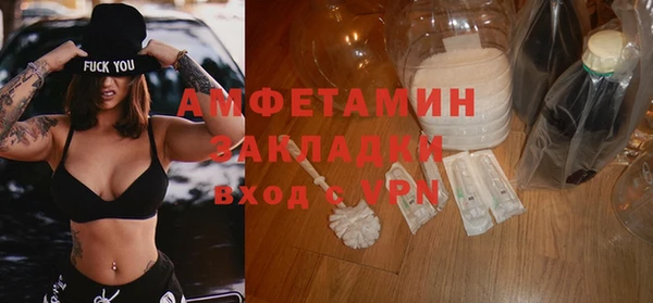 индика Нея