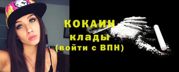 индика Нея
