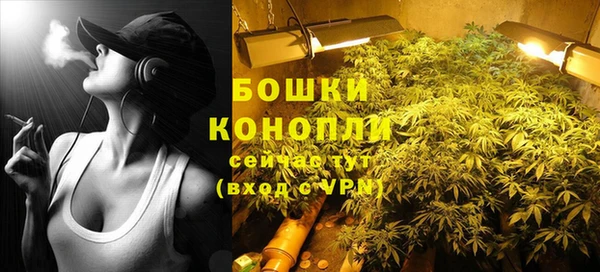 индика Нея