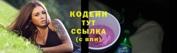 индика Нея