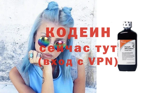 индика Нея