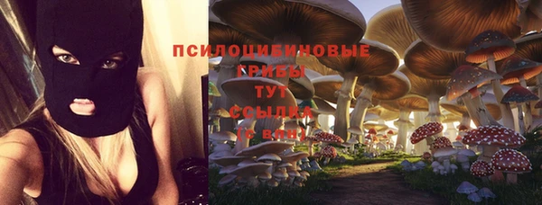 индика Нея
