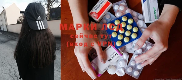 индика Нея