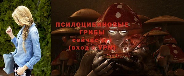 mdpv Заполярный