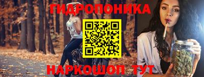 шишки Жуковский