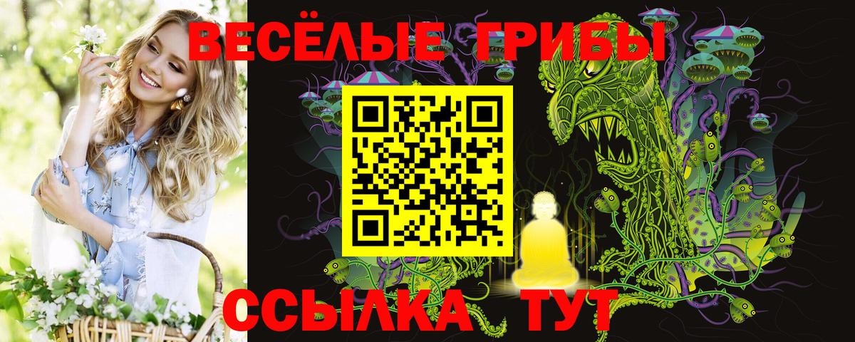 Псилоцибиновые грибы мухоморы Истра