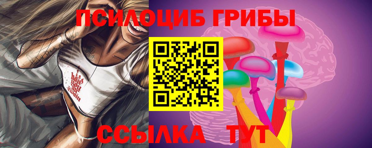 Галлюциногенные грибы мицелий  Галлюциногенные грибы GOLDEN TEACHER  Истра  Вход с VPN 